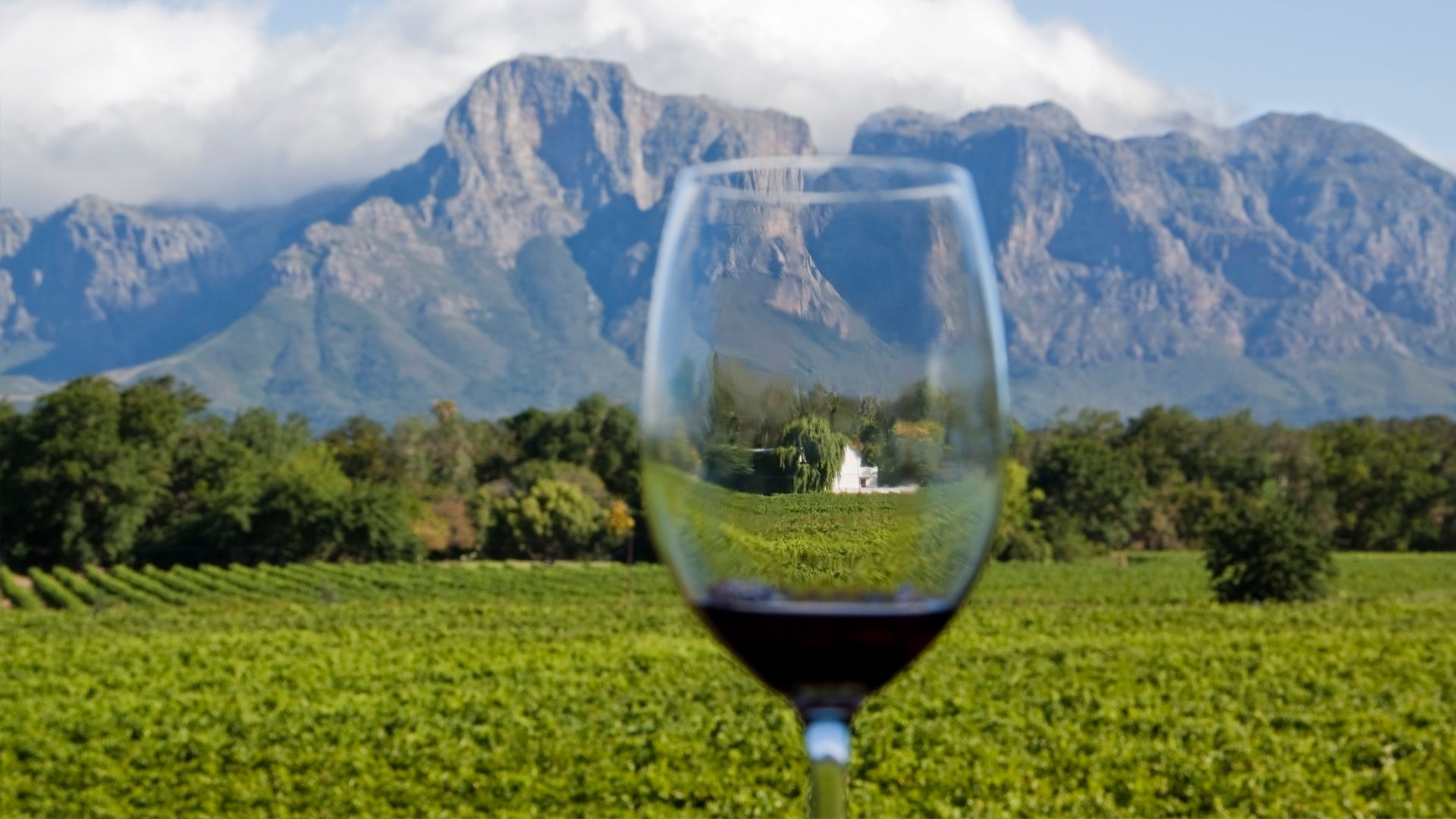 World-Class Wine Experiences