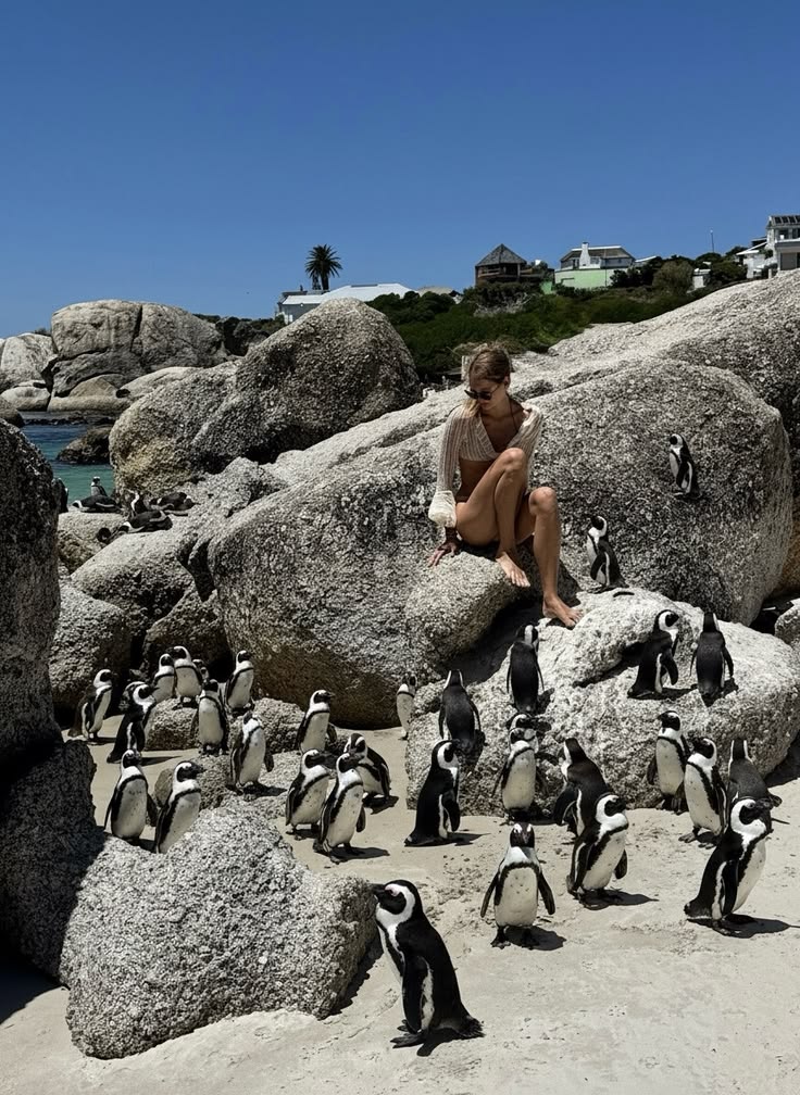 Penguins